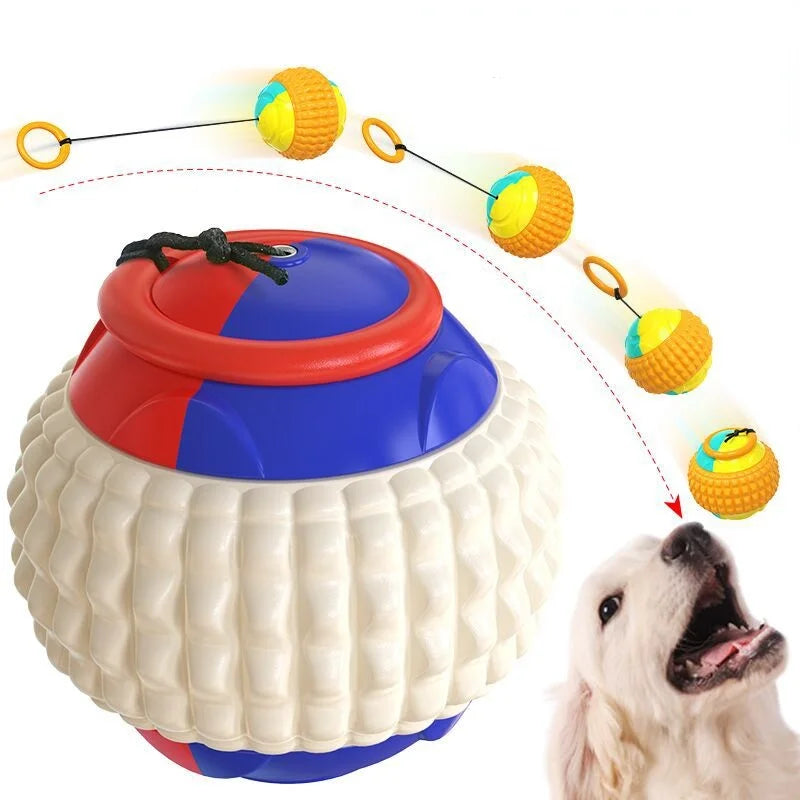 Molar Ball Dog Toy Outdoor Practice Ball Throwing Ball