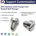 304 Stainless Steel Flange FaceSlotted Ball Plunger