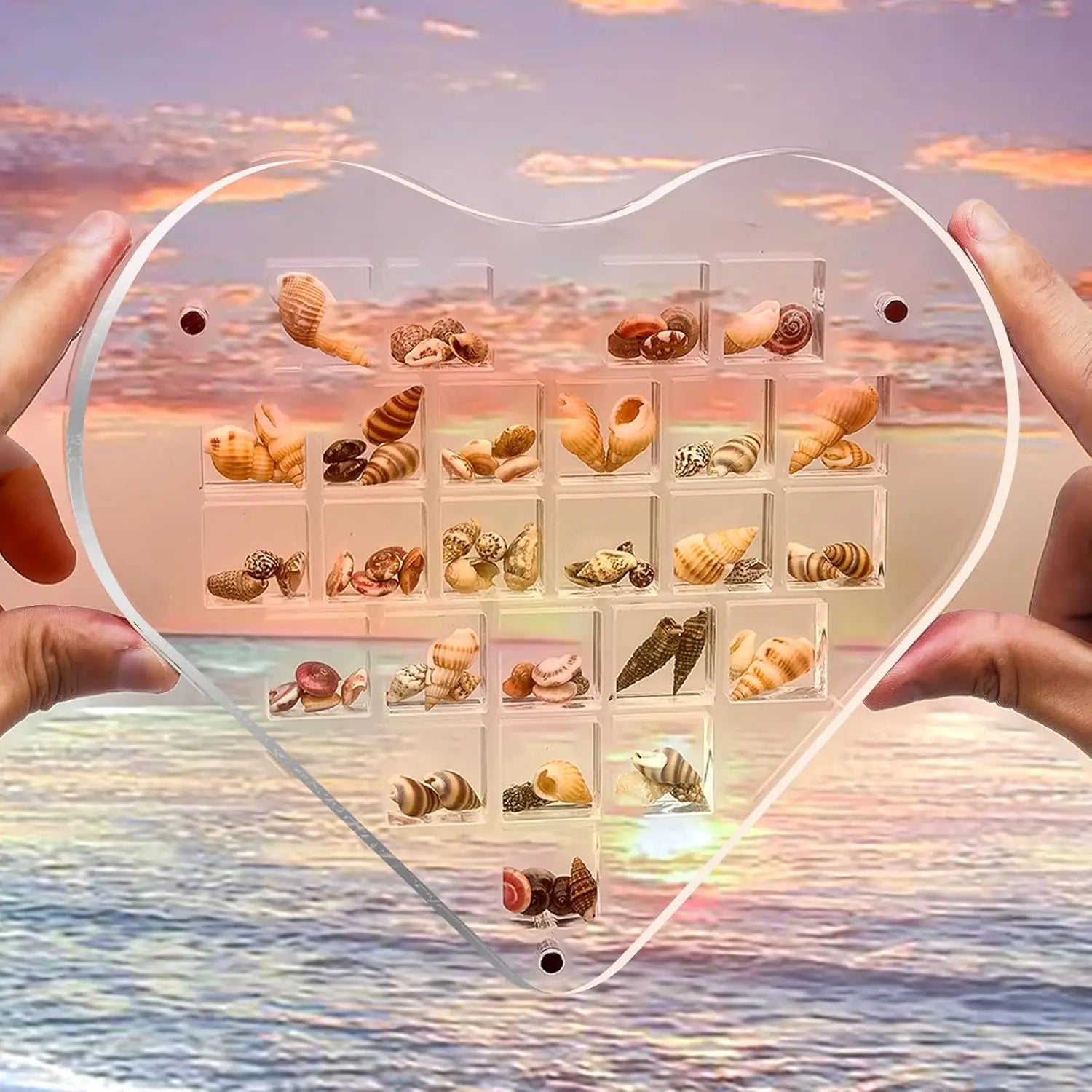 Heart-Shaped Large Acrylic Magnetic Seashell Display Box for Jewel Storage Showcase-Nail Bead Jewelry Gift Solution Container
