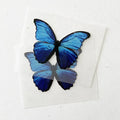 Wholesale Custom PET Film Plastisol Vinyl Film Full Color Long Wash Smooth Surface Designs Heat Transfer Printing