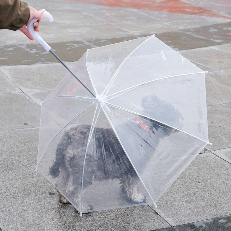 Wholesale Stocked Hot Transparent Dog Cart Umbrella