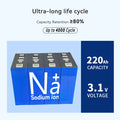 2025 New Grade Natrium Battery Cell Europe US NA+ Sodium Ion 75Ah 220Ah 3.1V 3.95V Energy Storage 12V 24V 48V Pack