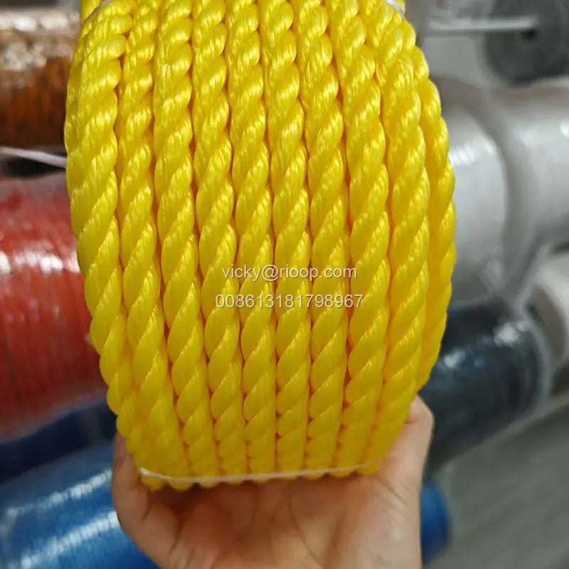 2mm 3mm  6mm  8mm  Plastic PE Rope Twisted Plastic Rope Color Fasten High Tenacity Light Weight Anti UV Multi Application