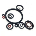 Premium Oil Seal NBR Buna FKM Silicone HNBR EPDM TC SC 30x42x8 Size Premium Product Category