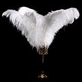22-24 Inch 55-60cm Ostrich Feathers Plume wings for Craft Costume Home Wedding
