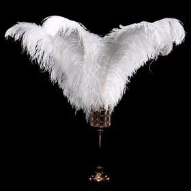 22-24 Inch 55-60cm Ostrich Feathers Plume wings for Craft Costume Home Wedding