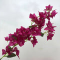 Q-5708 Hot Sales Bougainvillea Artificial Flowers Artificial BBougainvillea Branch