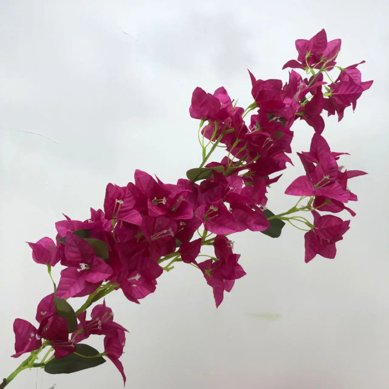Q-5708 Hot Sales Bougainvillea Artificial Flowers Artificial BBougainvillea Branch