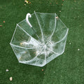 Custom Designed Transparent Straight Umbrella with Fiberglass Frame Plastic Handle Customizable Logo & Dinosaur Concept