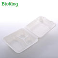 BioKing Sugarcane Pulp Biodegradable and Compostable Bagasse 8inch Clamshell