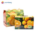 Customized Gable Carton Gift Box Corrugated Cardboard Paper Packaging with Handle and Logo Embossed Varnished Print