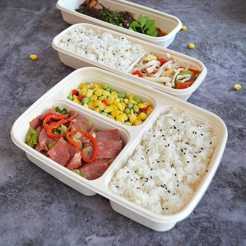Compostable Food Packaging Disposable Lunch Dinner Box Container