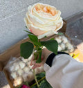 DREA Best Quality Artificial Flowers Real Touch Feeling Austin Rose with Leaves Reach Touch Cabbage Roses