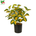 OEM/ODM Artificial Bonsai Tabletop Plants Mini Artificial Plants Artificial Tree Indoor Decoration
