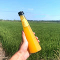 Wholesale 250ml 330ml Cone-shape Empty Reusable Clear Cold Press Juice Glass Bottle with Aluminum Cap