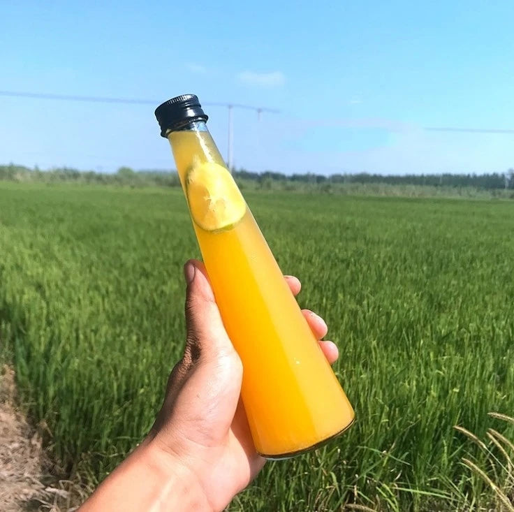 Wholesale 250ml 330ml Cone-shape Empty Reusable Clear Cold Press Juice Glass Bottle with Aluminum Cap