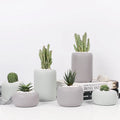 Nordic Modern Indoor Decorative Plant Pot Creative Cylindrical Flowerpot with Classic Design Style for Home and Garden