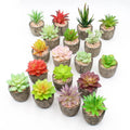 Factory Outlet Ship in Time Lifelike Artificial Succulents Bonsai in Pulp Pot Home Table Decoration
