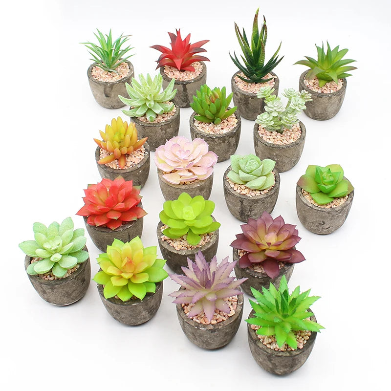 Factory Outlet Ship in Time Lifelike Artificial Succulents Bonsai in Pulp Pot Home Table Decoration