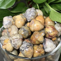 2026 Natural Crazy Agate Hazelnut Decorative Gemstone Acorns Healing Crystal Gift Room Ornament Tank Decor