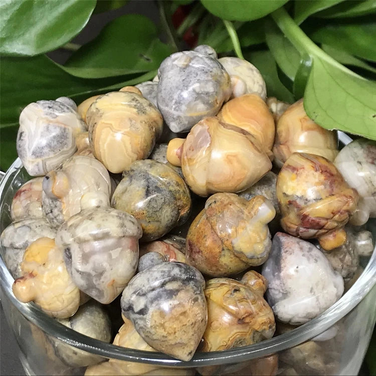 2026 Natural Crazy Agate Hazelnut Decorative Gemstone Acorns Healing Crystal Gift Room Ornament Tank Decor