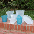 10cm Factory Directly Plastic Round Clear Transparent Translucent Nursery Pot with Drainage Holes for Tropical Plants