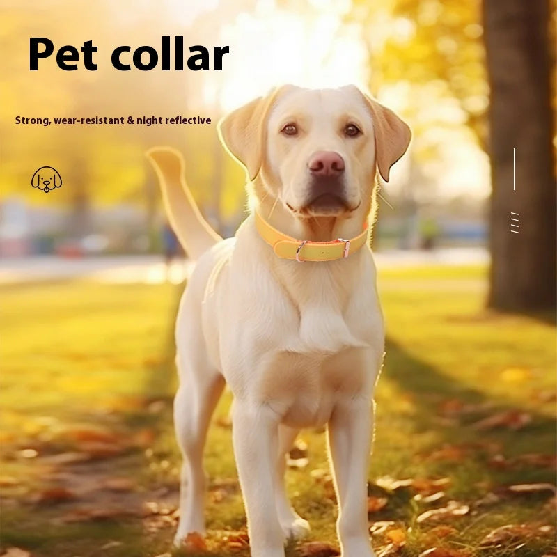 New Luminous Anti-Loss Cat Dog Collar Silicone Soft Pet Collar Adjustable Safety Glowing Dog Collar for Night Walking