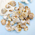 Manufacturer Wholesale Mixed 44pcs Acrylic Conch Sea Shell Pendants Charms Handmade Crafts Accessories Small Conch Pendants
