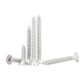 Fastener SS304 Stainless Steel Flat Head Self Tapping Screw for Metal