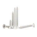 Fastener SS304 Stainless Steel Flat Head Self Tapping Screw for Metal MegaBDM