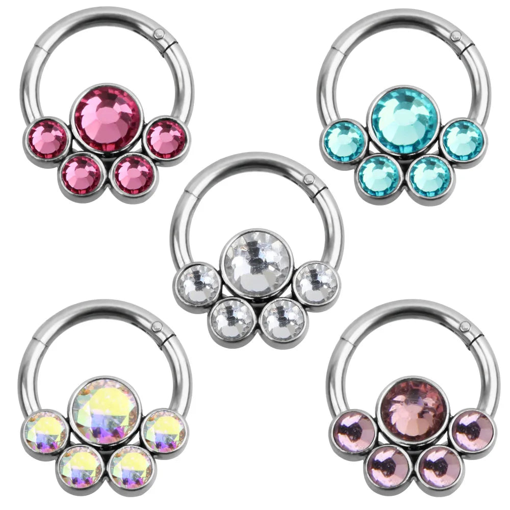 316L Surgical Stainless Steel Nose Hinged Ring Nose Septum Clicker Hoop Ear Tragus Ring Body Piercing Jewelry for Wedding