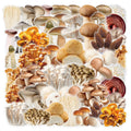 50PCS Waterproof transparent realistic mushroom sticker
