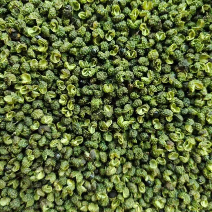 X012 Hanyuan Qing Hua Jiao Food Grade Zanthoxylum Armatum for Cooking