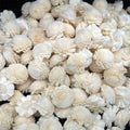 Bulk Scented N-0216 Sola Wood Flowers Reed Diffuser Fragrance for Home Decoration
