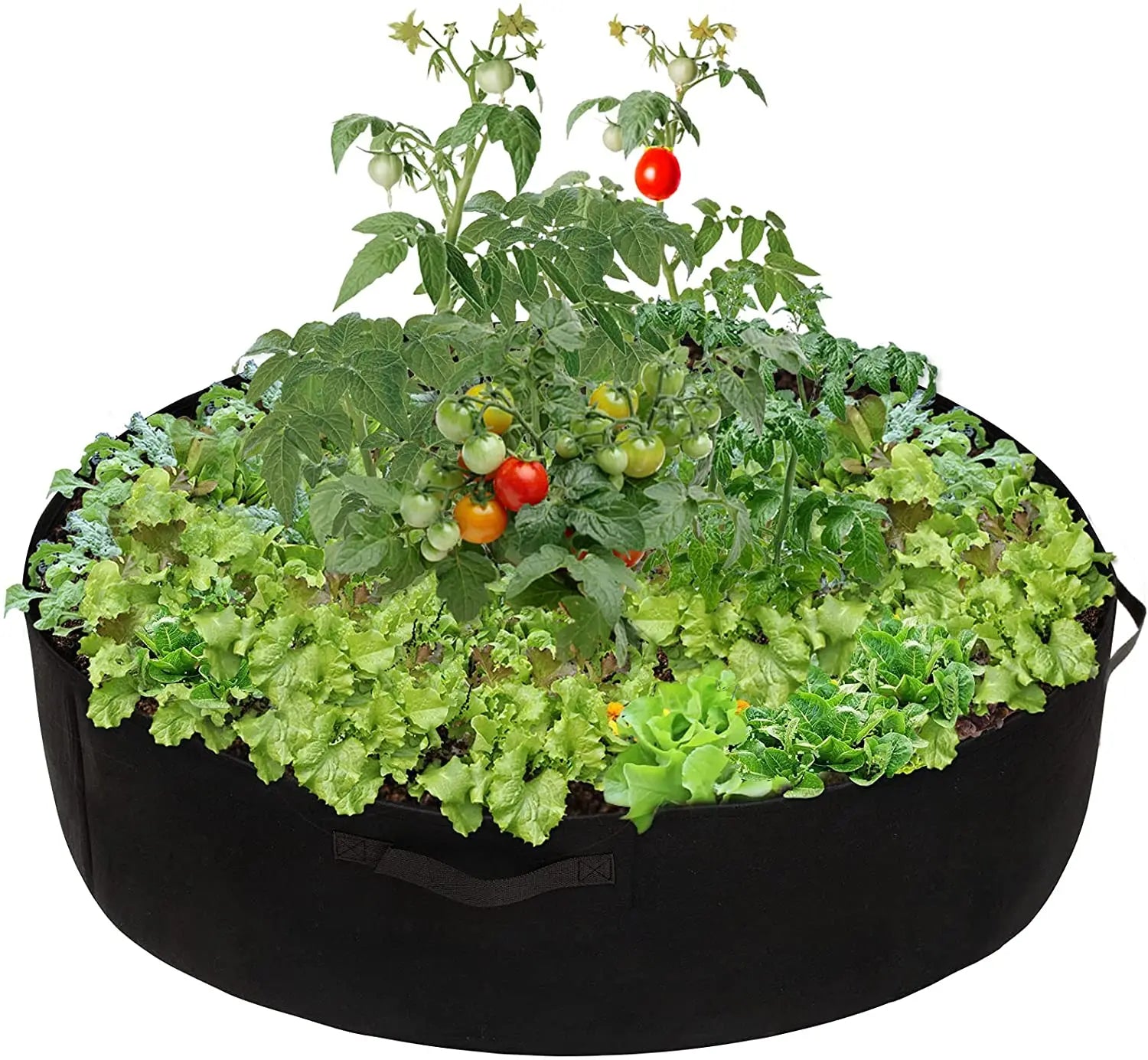 1-100 Gallon Round Felt Raised Planting Bed Thicken Non Woven Veggie  Fabric Garden Plant Grow Pots Planter Container