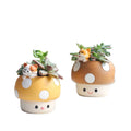 Hot Selling Wholesale Fun Creative Mushroom Resin Flower Pot Succulent Small Flower Pot Container Home Office Desktop