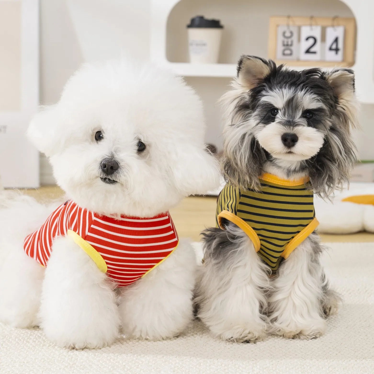 HW Cartoon Striped Vest