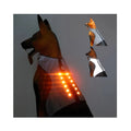 2 in 1 New Pet Supplies Premium Cool Outdoor Activity Night Walking Hi Vis Reflective Clothing Harness Chargeable LED Dog Vest