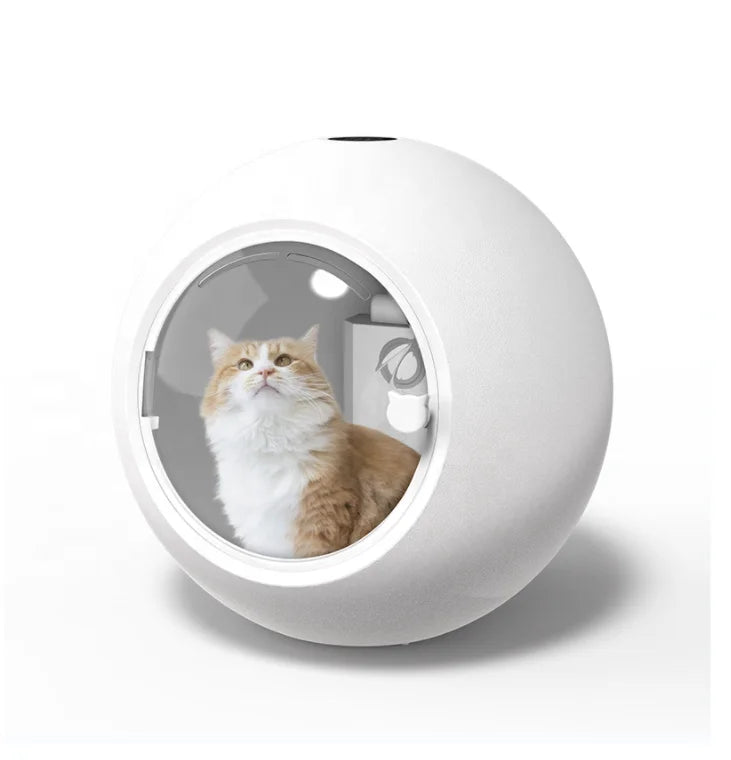 Upgrade Pet Dry Room High-Velocity Dryer Temp Speed Adjustable Safety Pet Blower Grooming Dryer Intelligent Dog Hair