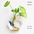 Modern Plum Blossom Shaped Glass Terrarium Hydroponic Flower Vase Small Home Decoration Tabletop Living Room Wedding Party
