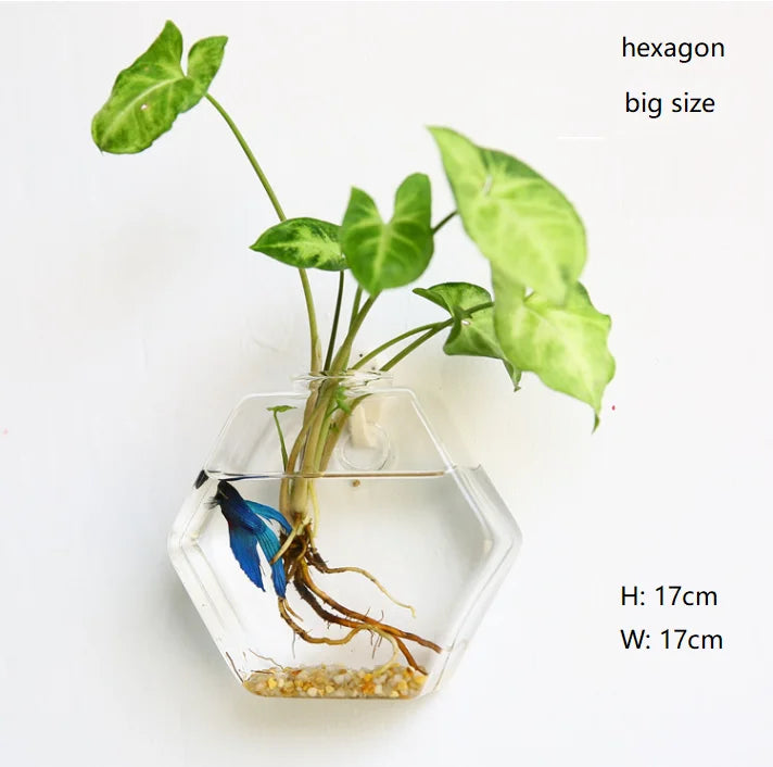 Modern Plum Blossom Shaped Glass Terrarium Hydroponic Flower Vase Small Home Decoration Tabletop Living Room Wedding Party