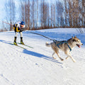 2024 Luxury Dog Harness for Medium Large Dogs Breakaway Feature Speed Training Work Out Dog Sled Harness for Weight Pulling