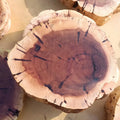 DIY Wood Slices  Well Finished Wood Base
