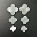 Popular Clover Mother of Pearl Four Leaf Clover 10x10x2mm 11x11x2mm Natural Gray MOP White MOP Stones