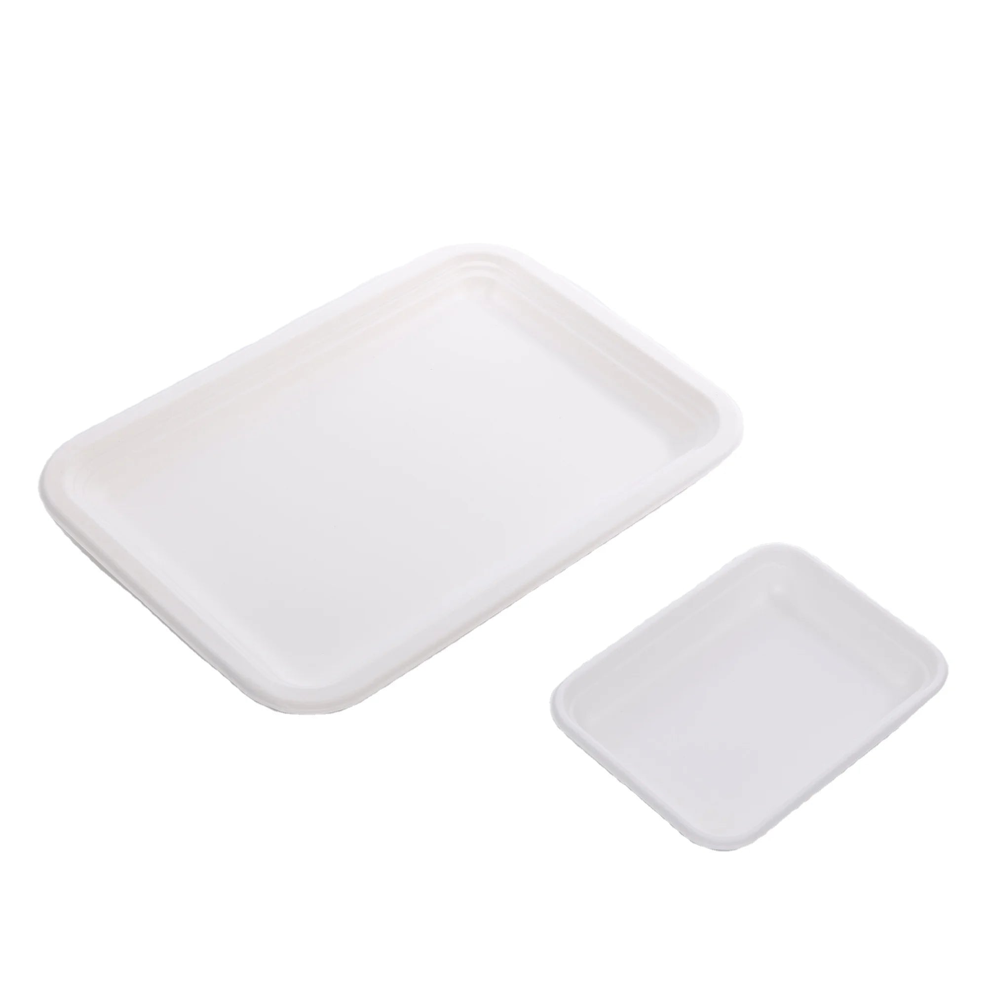 BioKing Sugarcane Pulp Biodegradable and Compostable Bagasse Paper Tray Serving Tray