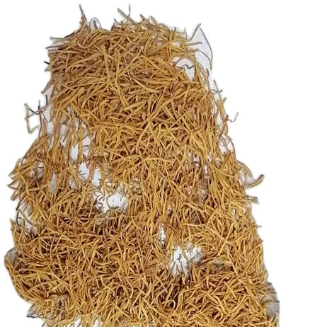 Pure Golden Natural Golden New Lotus Stamens Tea Lotus Flower Stamen for Sale