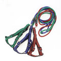 Stocked Round Braided Small Pet Dog Harness and Round Rope  Leash