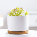 Modern Cute Home Decorative White Flower Pots Planters Ceramic Succulent Plant Pot