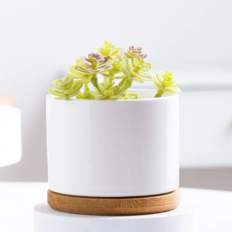 Modern Cute Home Decorative White Flower Pots Planters Ceramic Succulent Plant Pot