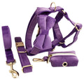 Wholesale XS-XL No Pull Velvet Dog Bow Tie Collar Dog Harness and Leash Set Pet Leads Accessories With Pop Bags